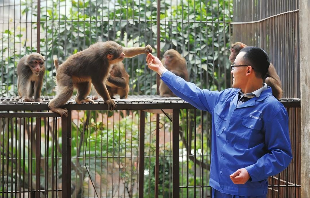 微信图片_20260131221243_212_84.jpg 微信图片_20260131221243_212_84.jpg